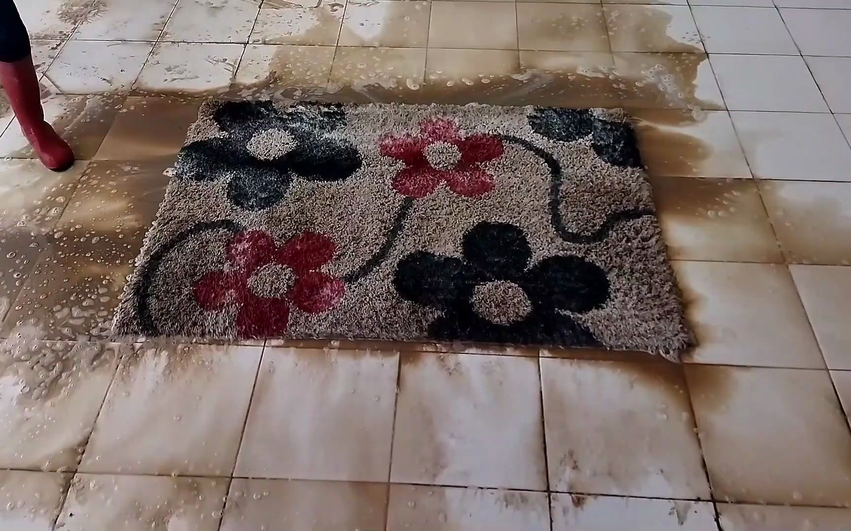 【沉浸式地毯清洁】令人难以置信的脏地毯