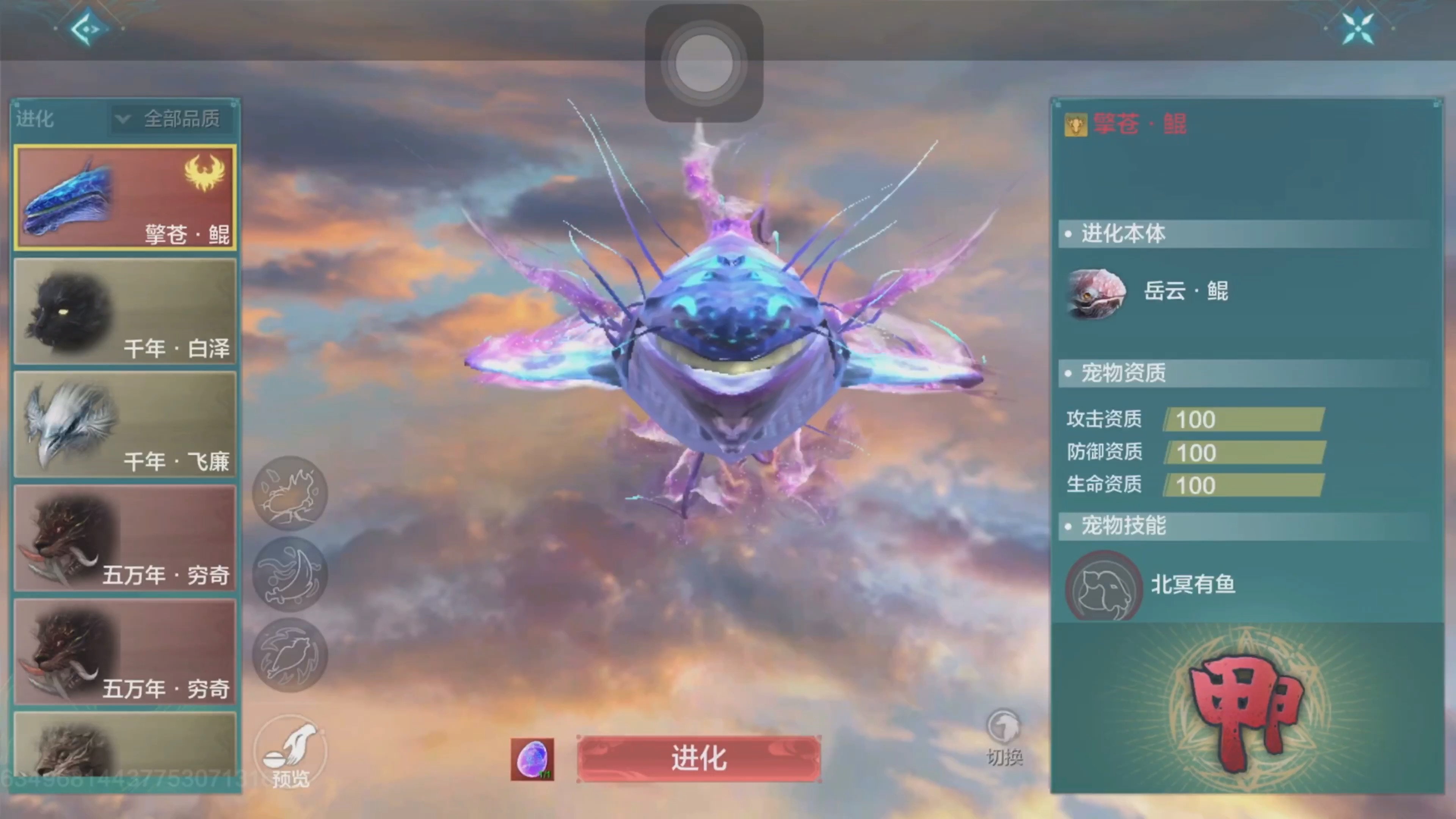 鲲鲲!终于等到你