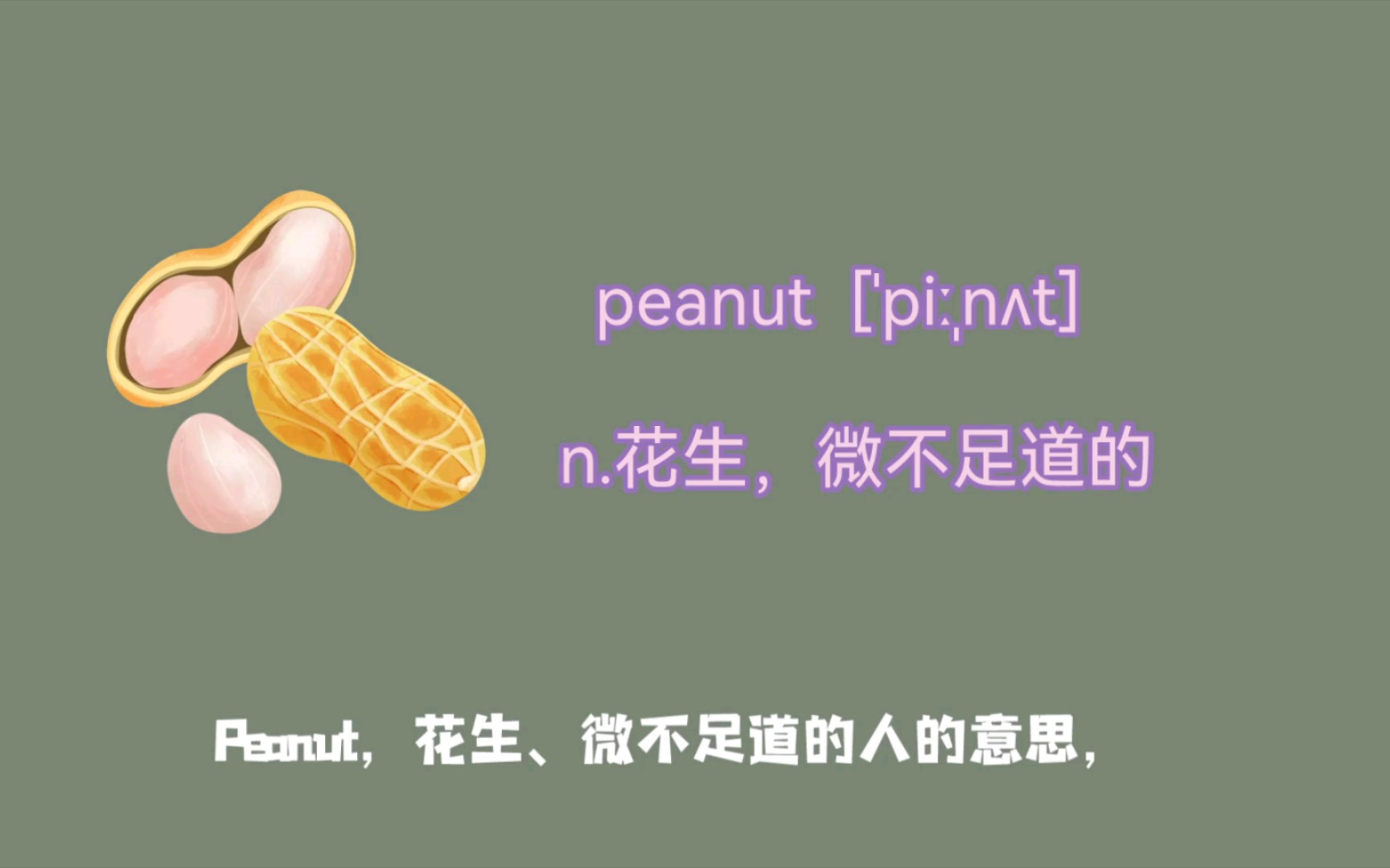 peanut 花生的单词词源故事哔哩哔哩bilibili