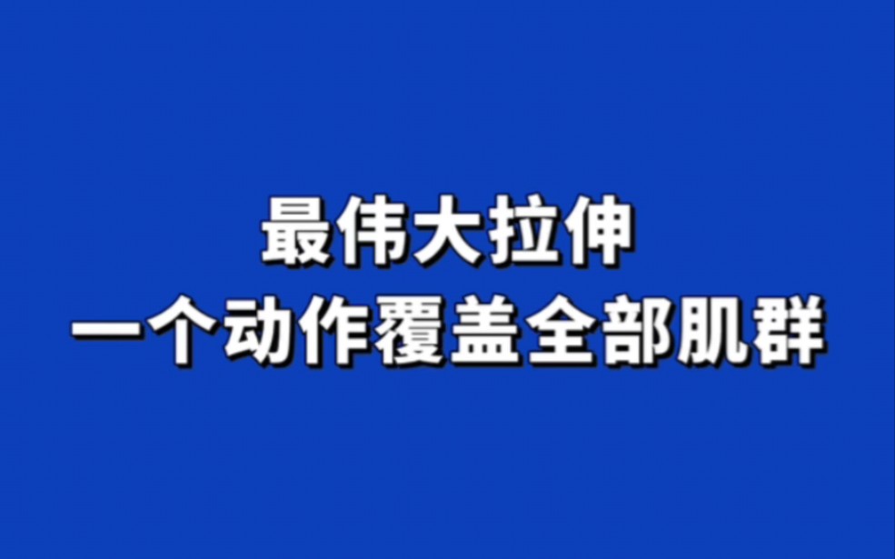 最伟大拉伸,一个动作覆盖全部肌群?哔哩哔哩bilibili