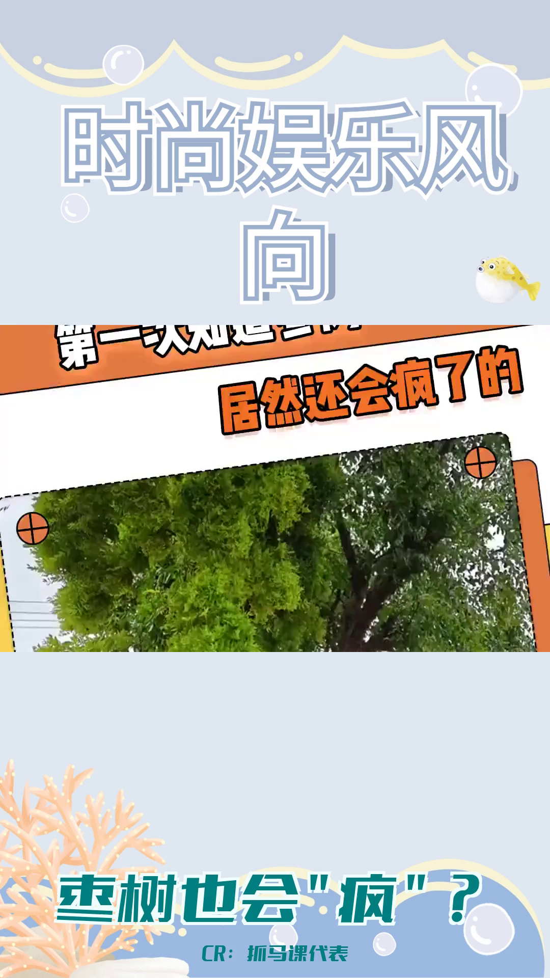 枣树疯病:一种能传染的枣树疾病及其后果哔哩哔哩bilibili