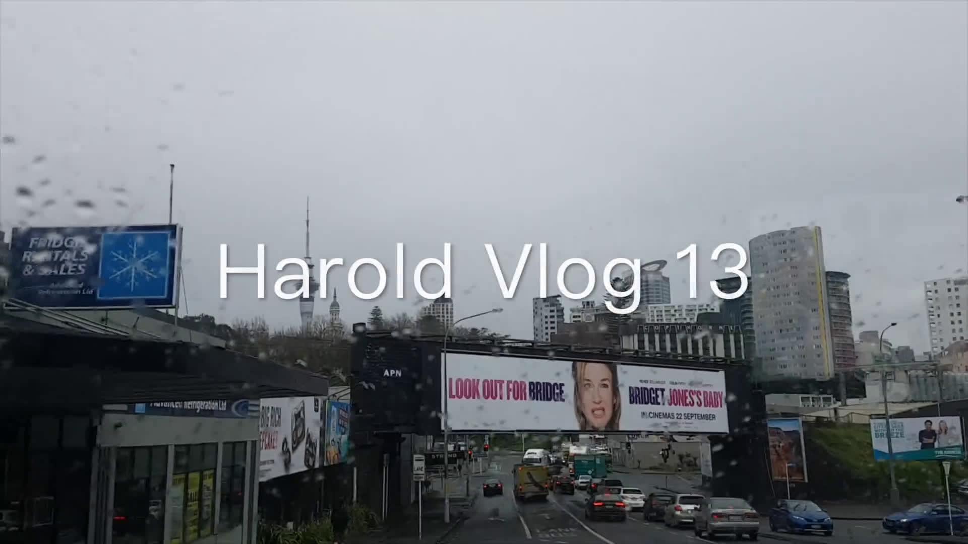 Harold Vlog 13 和小女友视频哔哩哔哩bilibili