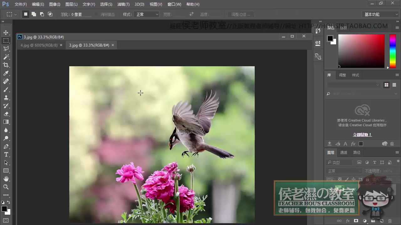 侯老师教室Ps自学教程photoshop基本入门术语 界面介绍 快速入门哔哩哔哩bilibili