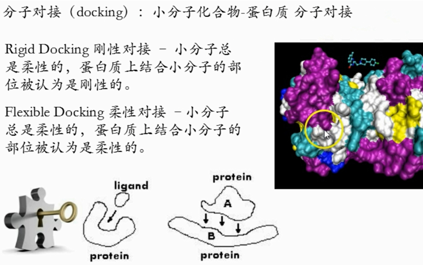 Autodock安装和对接一站式流程哔哩哔哩bilibili