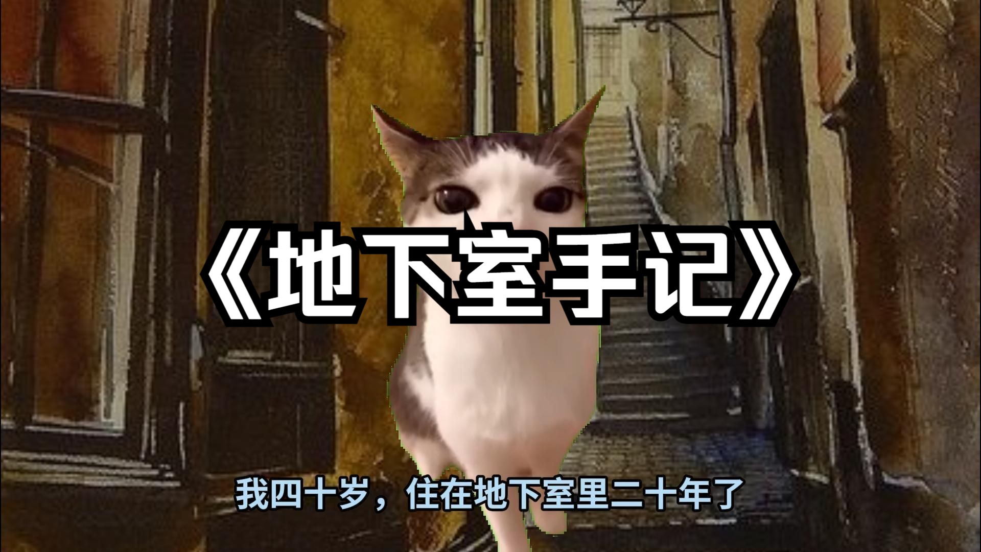 [图]【猫meme】毫不畏惧地直视自己，我在地下室阴暗爬行；不上这个b班了！陀思妥耶夫斯基：地下室手记