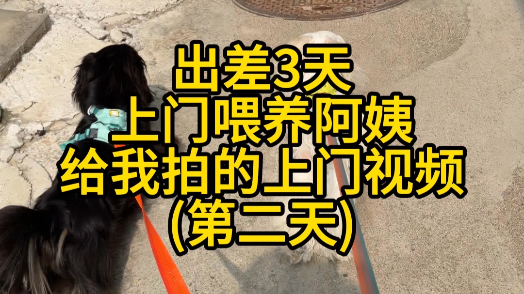 阿姨上门喂养第二天