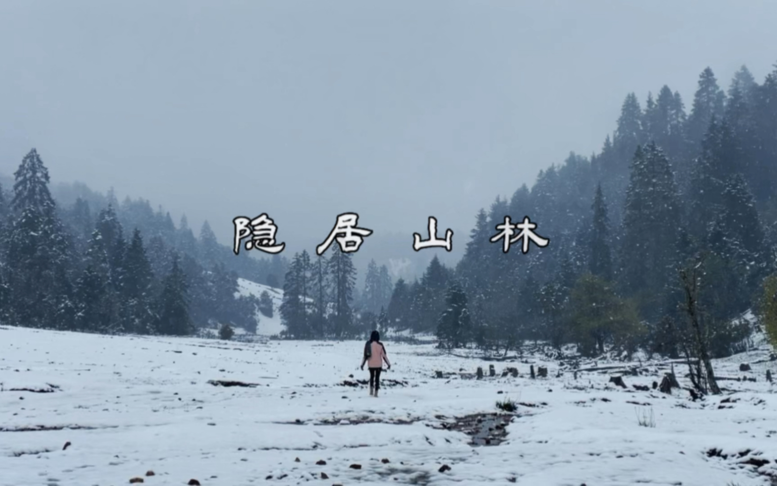 隐居山林看四季变换!五月的格拉丹山里下了一场意外的雪,最后残留的杜鹃花傲然的挂在树上,烟雾缭绕的森林里会忽然冒出几只乌鸦嘎嘎叫,羊啊马啊冻...