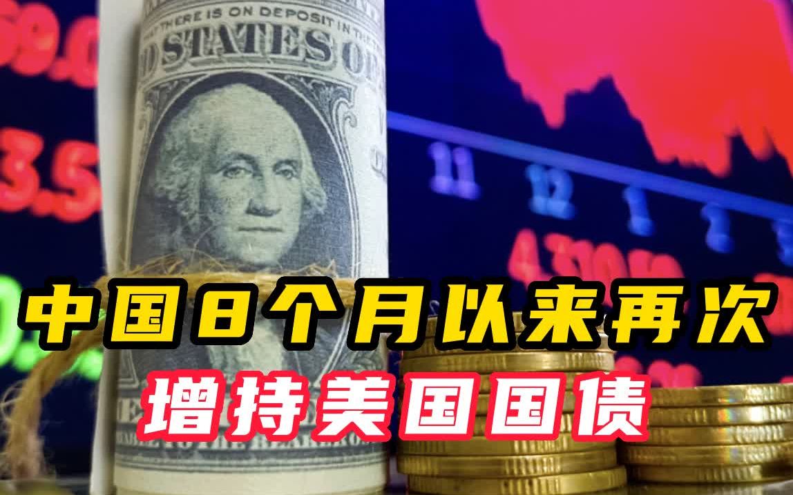 中国8个月以来再次增持美国国债哔哩哔哩bilibili