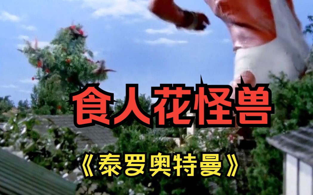 泰罗奥特曼:弃儿冢内惊现食人花,女孩却还把他散部出去