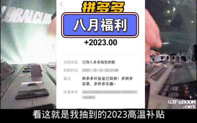 拼多多八月福利,0元秒杀2023高温补贴哔哩哔哩bilibili