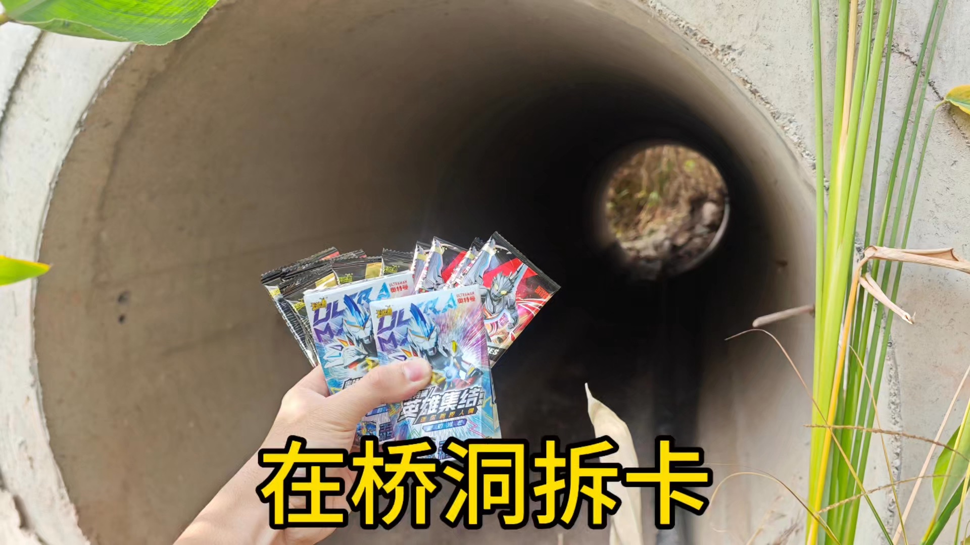 挑战在桥洞拆卡,居然出稀有好卡了!哔哩哔哩bilibili