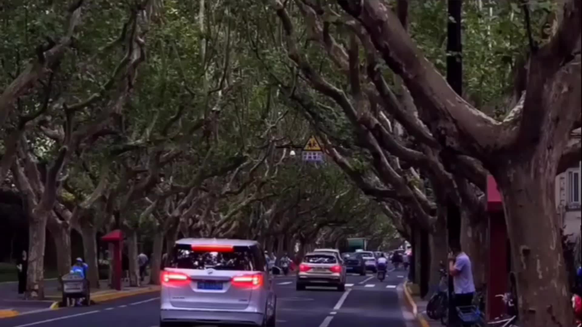 [图]半身风雨 半身伤半身别恨半心凉 时间不是让你忘记痛 而是让你习惯痛