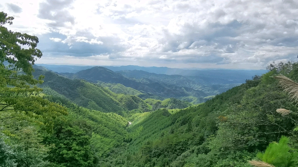 摩旅罗霄山脉,去往海拔1537的铁瓦仙,现在海拔爬升到1257,歇会_哔哩