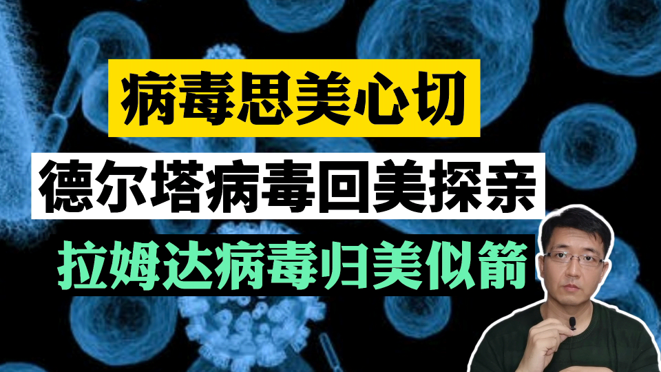 病毒思美心切,德尔塔病毒回美探亲,拉姆达病毒归美似箭哔哩哔哩bilibili