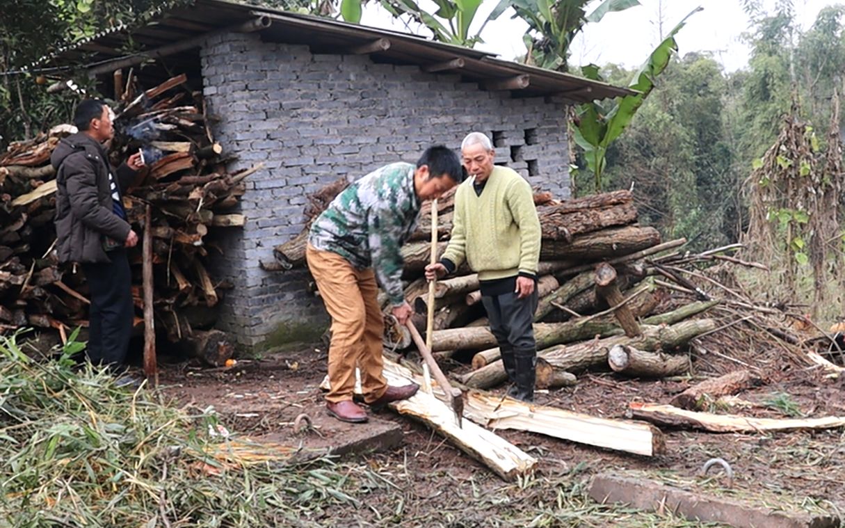 农村几兄弟劈柴有力气,堆一起太壮观了,家里烧一年都烧不完