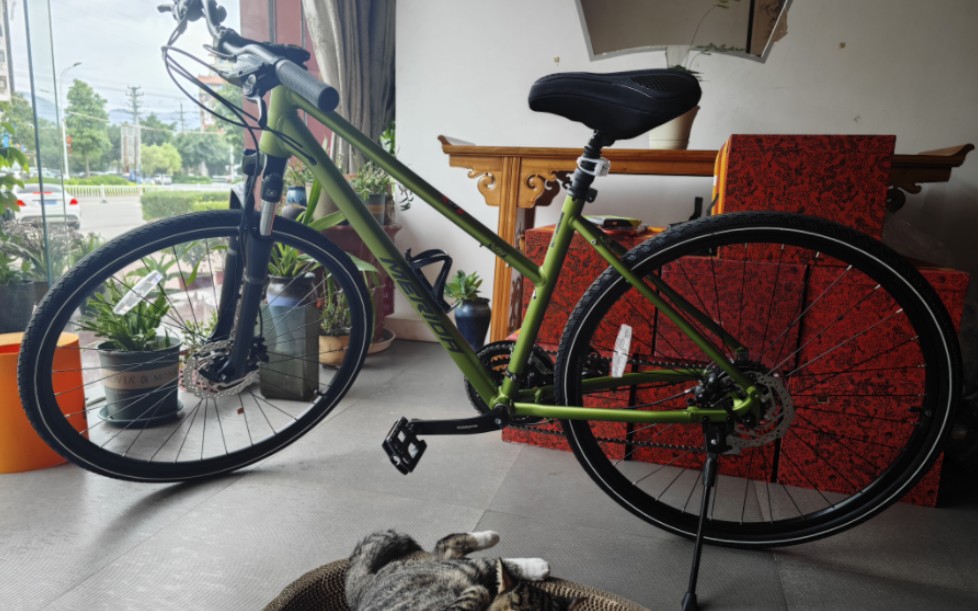 美利达 克罗威 20 骑行感觉不错小白第一次买车,入坑入坑.