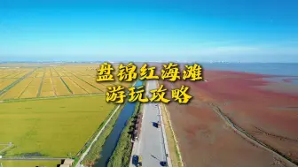 Download Video: 如果你想来盘锦红海滩玩，一定要收藏好这条红海滩旅行攻略！