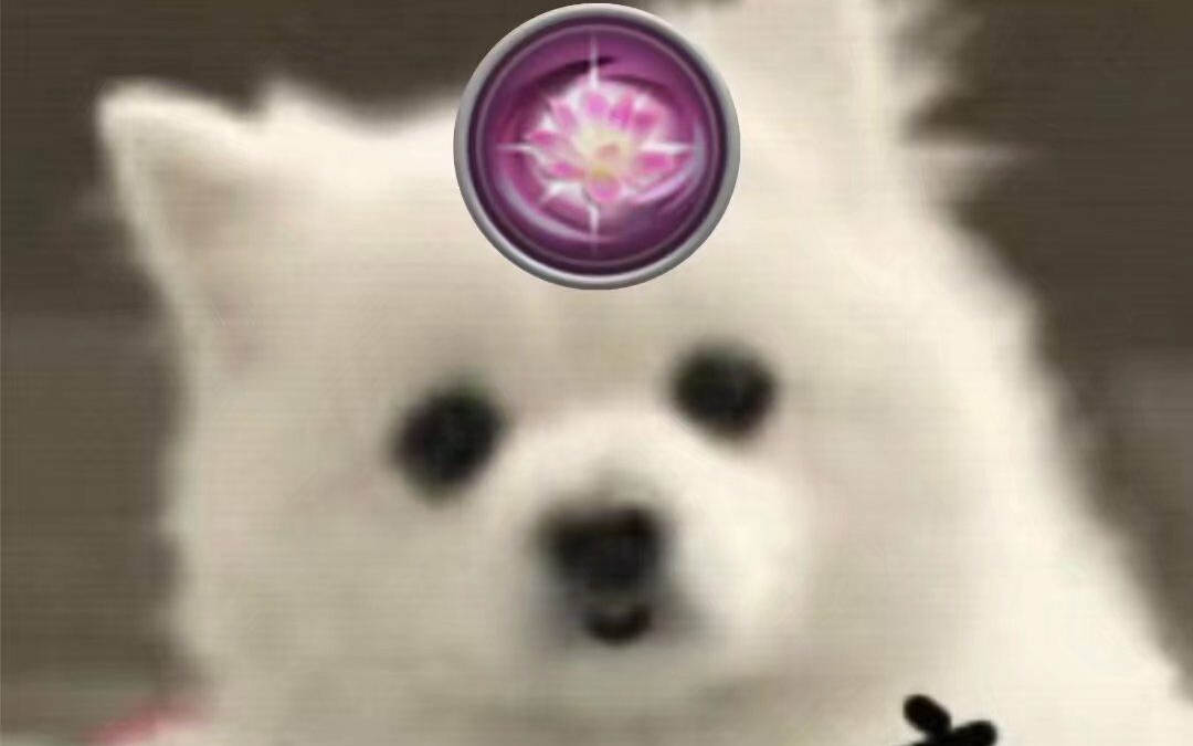 2700剑刀秀奶秀视角 一键开演!