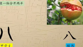 124 龙头锯角 说文解字 汉字演变 汉字 趣味识字 象形字 甲骨文 金文 篆文 哔哩哔哩 Bilibili