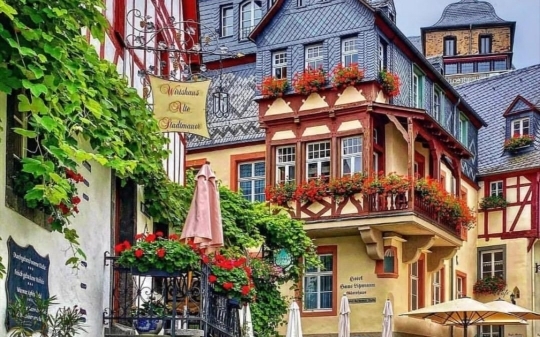 生活万花筒8.0(4)