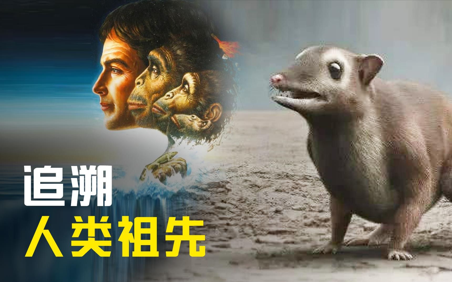 人类的祖先是什么样的?是谁帮助我们进化,塑造了现在的人类呢