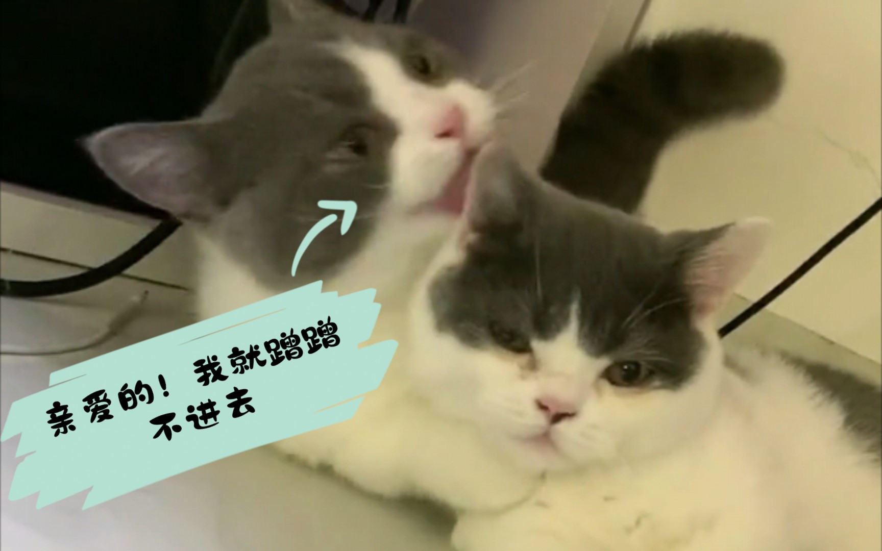 B站