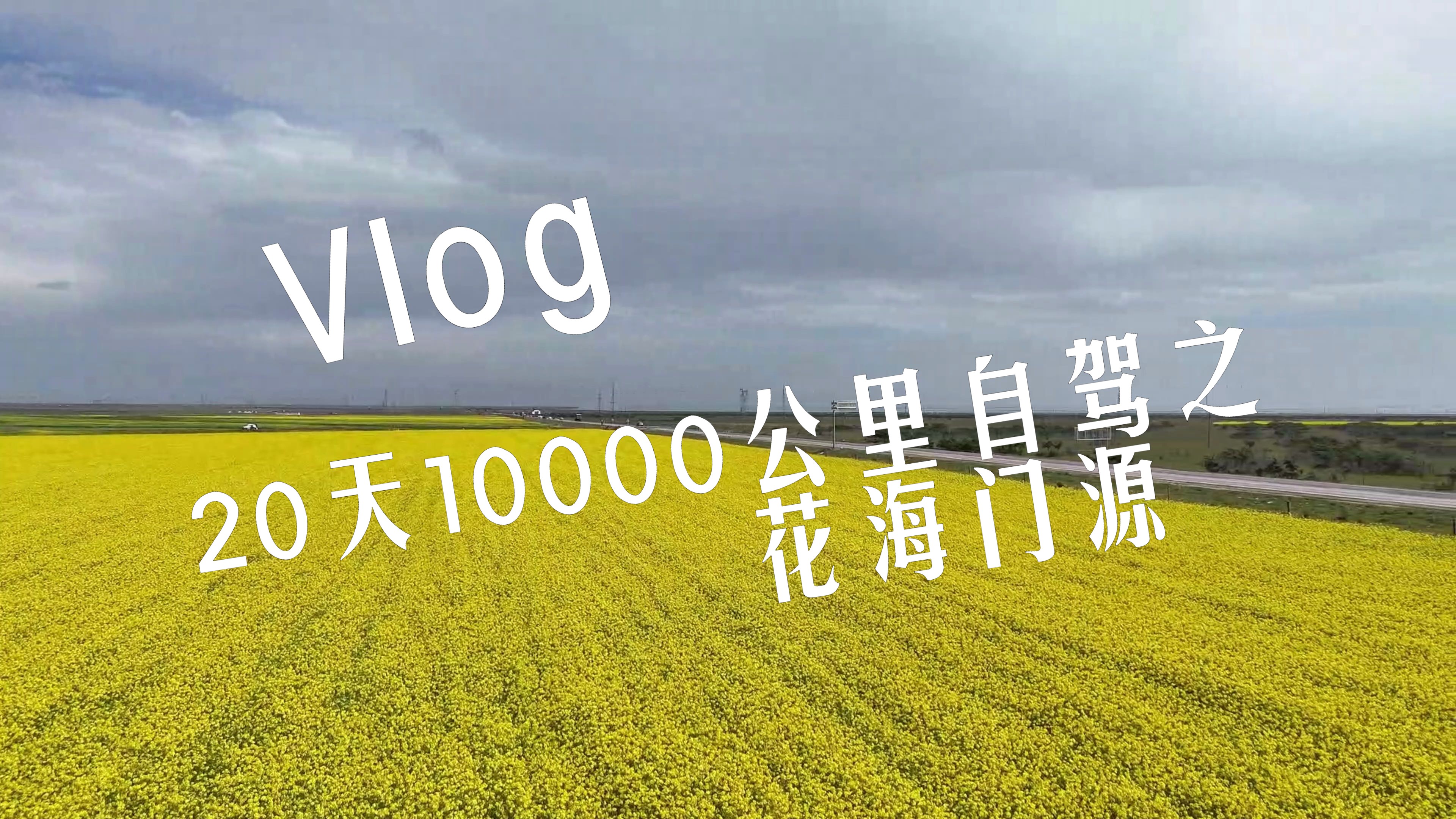 20天10000公里自驾VLOG之花海门源哔哩哔哩bilibili