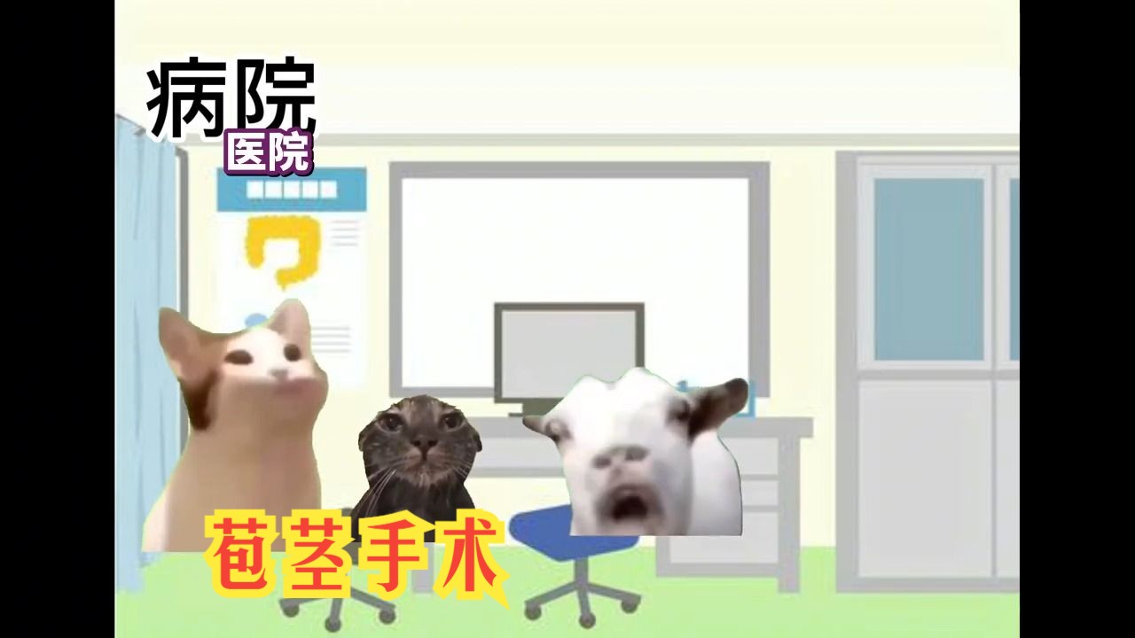 【熟肉】小学生时接受苞茎手术的我 | 猫meme哔哩哔哩bilibili