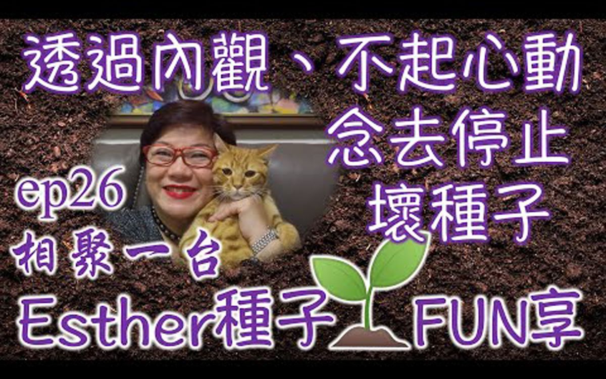 [图]透过内观、不起心动念去停止坏种子 _ Esther种子FUN享026