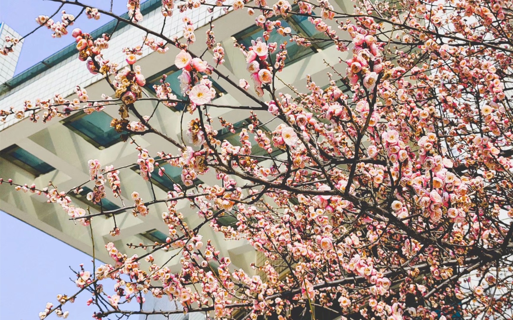 [图]仲春时节的开学生活