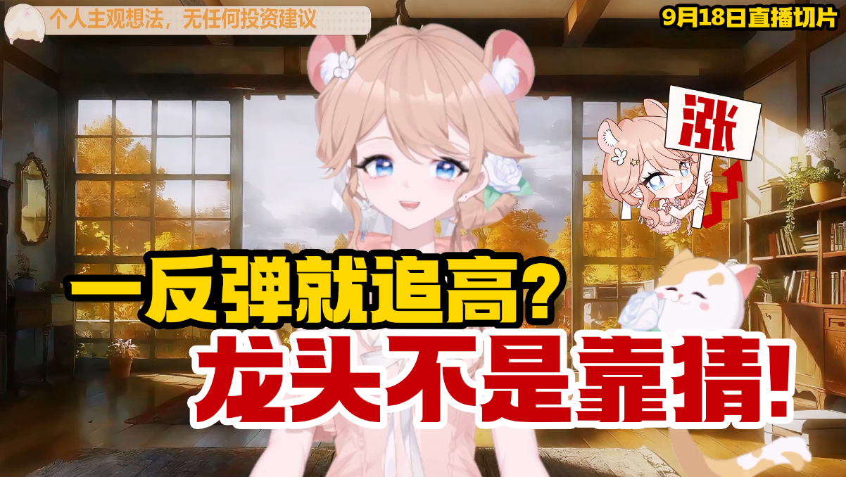 A股反弹的持续性怎么看？新手如何把控？