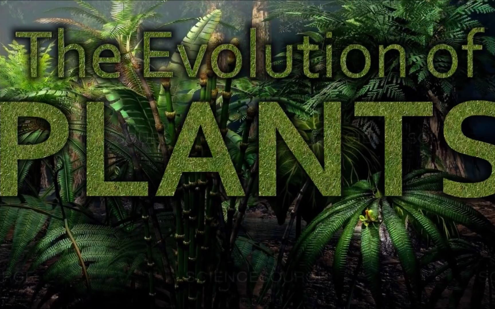 [图]The Evolution of Plants (植物的演化)