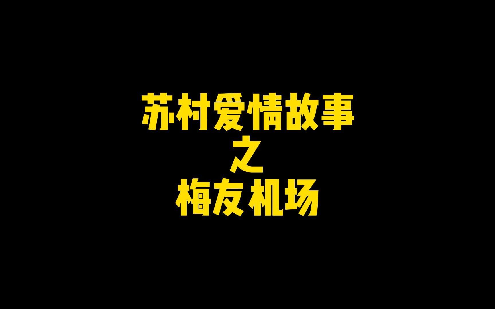 江苏十三太保之梅友机场哔哩哔哩bilibili