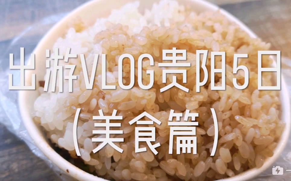 【出游vlog】贵阳游玩,5天吃的不重样!我真棒!哔哩哔哩bilibili