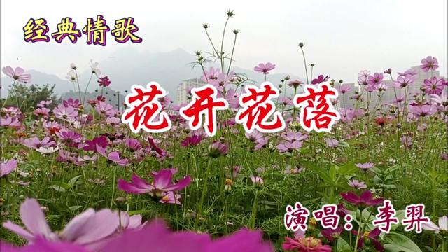 李羿演唱《花开花落》旋律优美,歌声甜美,醉人心扉哔哩哔哩bilibili