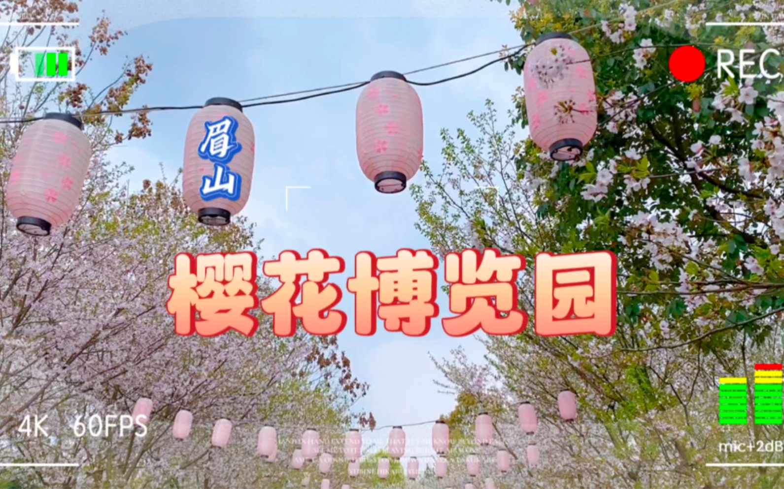 眉山樱花博览园门票图片