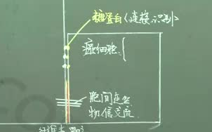 10讲 标新立异战高考1】遗传与变异、分子与细胞胞哔哩哔哩bilibili