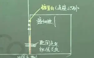 10讲 标新立异战高考1】遗传与变异、分子与细胞胞