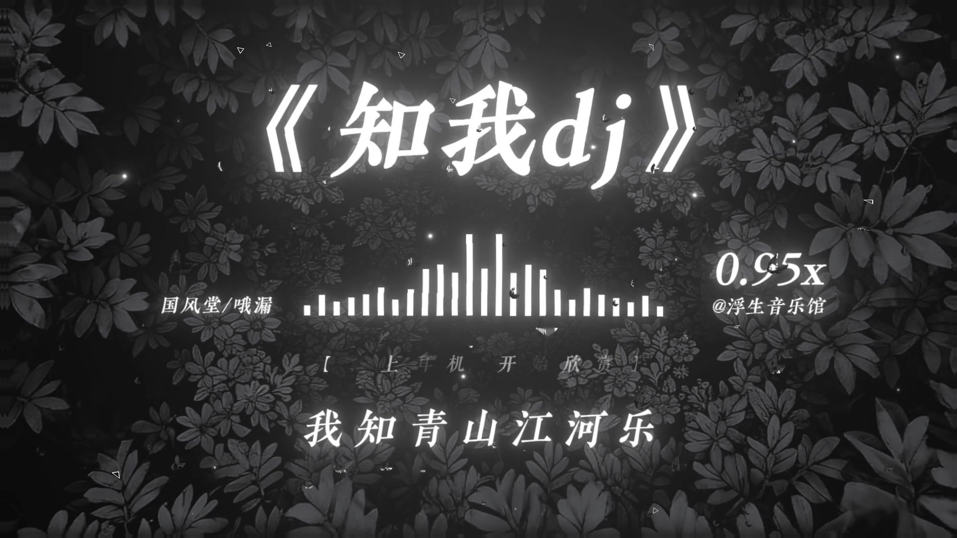 【古风DJ】“和青山奏江河 我知青山江河乐”丨《知我DJ》