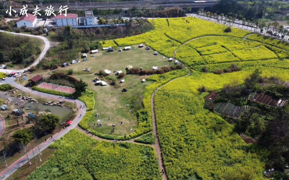 重庆三板溪公园面积图片