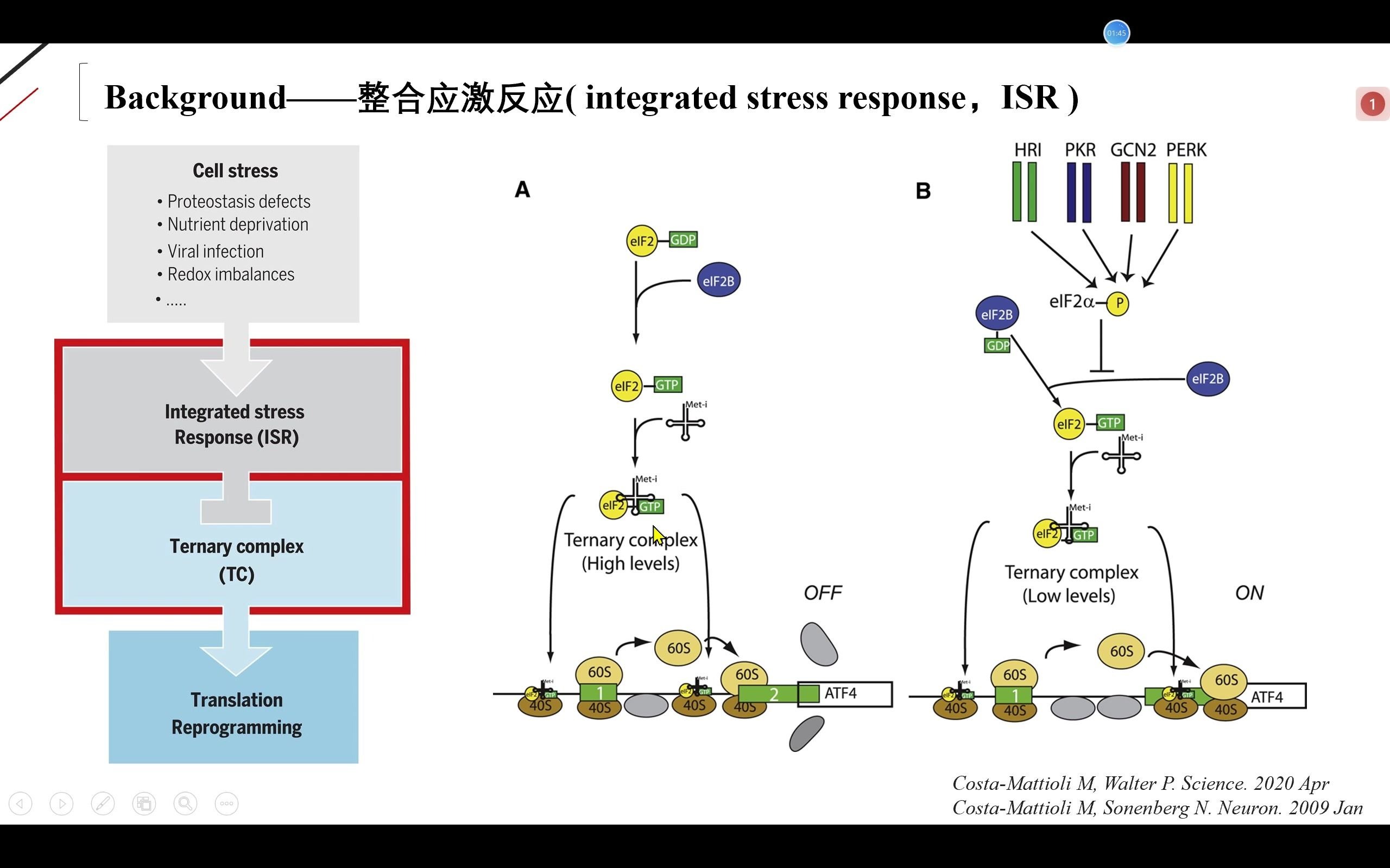 文献分享eIF2controls memory consolidation via excitatory and somatostation neurons哔哩哔哩bilibili