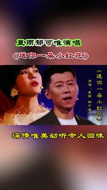夏雨郁可唯演唱《送你一朵小红花》独特的嗓音唯美动听完美组合 @雨落