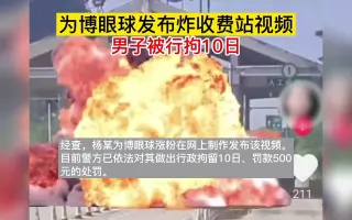 为博眼球发布炸收费站视频，男子被行拘日