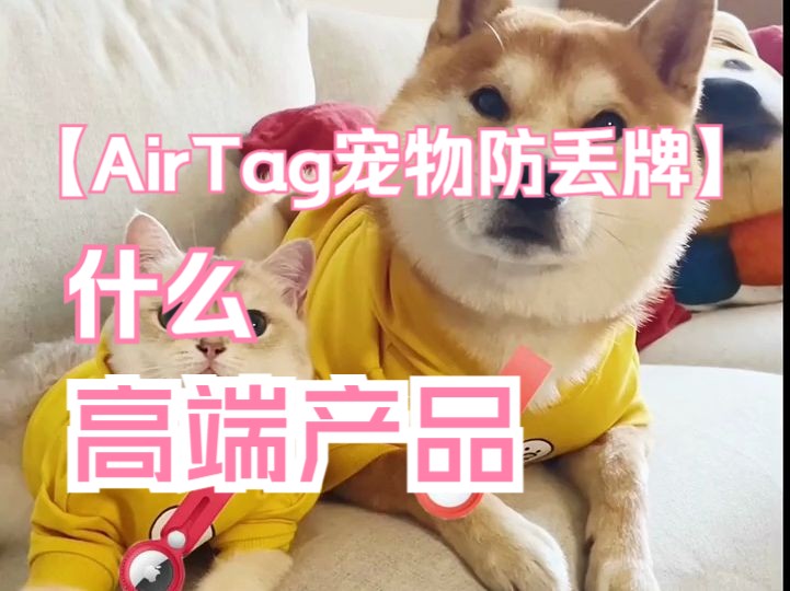 苹果春季全新产品:AirTag宠物防丢牌哔哩哔哩bilibili