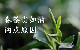 下载视频: 春茶贵如油的两点原因，一次分享给您！