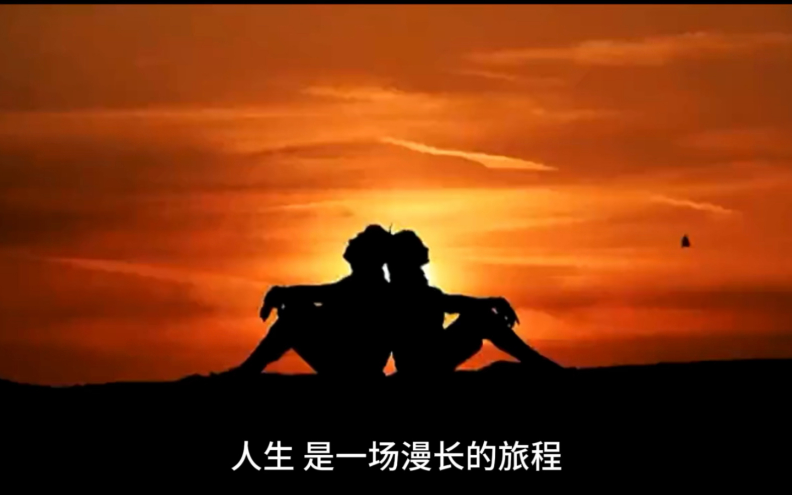 人生路漫漫,共鉴美好时光.