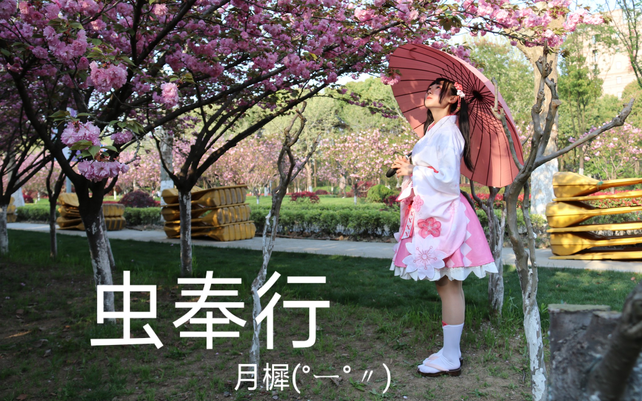 月樨虫奉行是生日作也是初投稿啦今后也想一起看樱花吖εづ▽づ