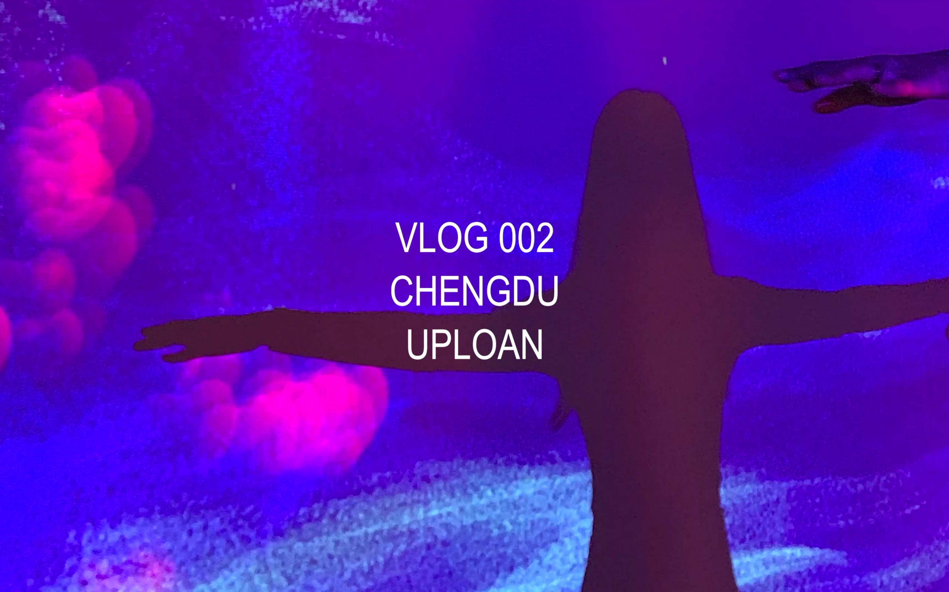 [图]VLOG.002上载展览