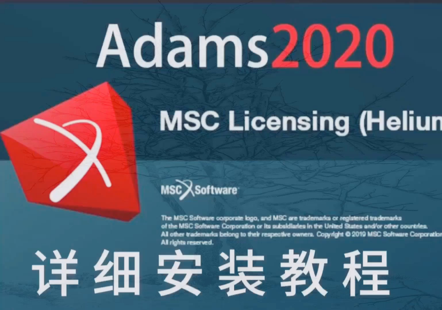 adams软件安装全攻略2024年adams下载及绿色版获取指南全解析与技巧