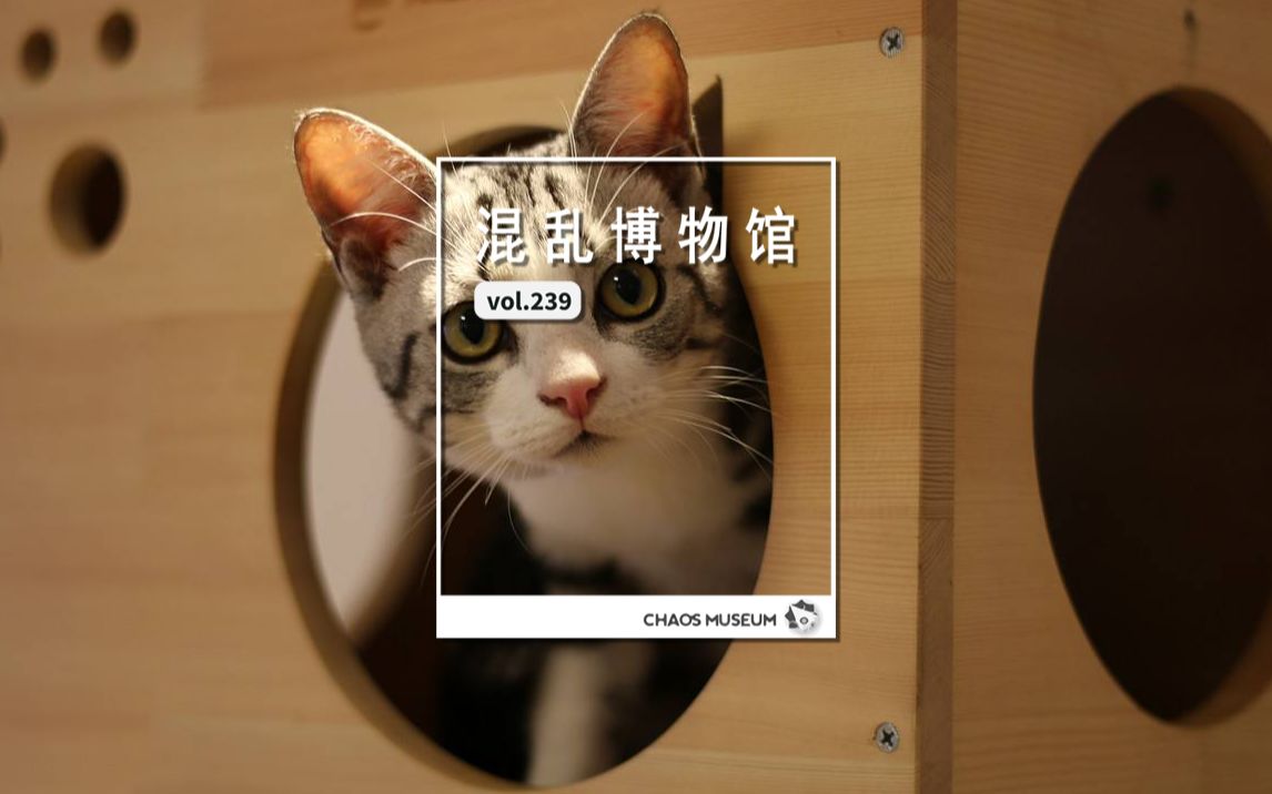 [图]【混乱博物馆】科学家的猫